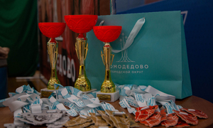 «Дмд. Пять турниров». Волейбол